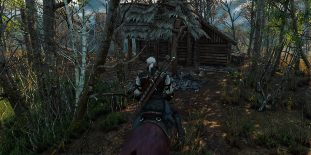 The Witcher 3